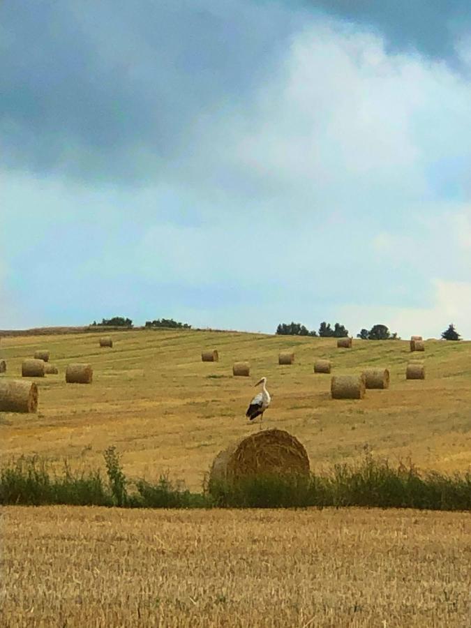 Agroturystyka „Nadbuzanski Swit” Wola Uhruska Екстер'єр фото